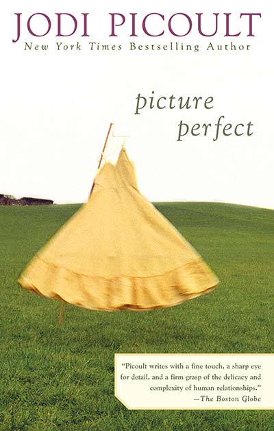 pictureperfect-06-lg