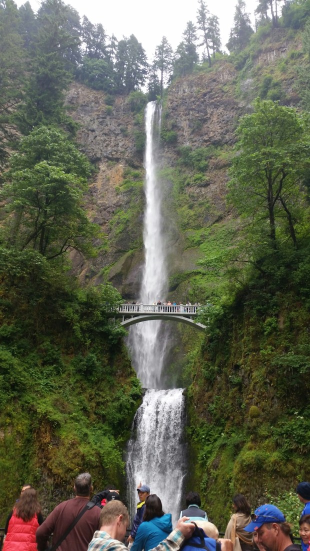 20140614_140054_resized_2