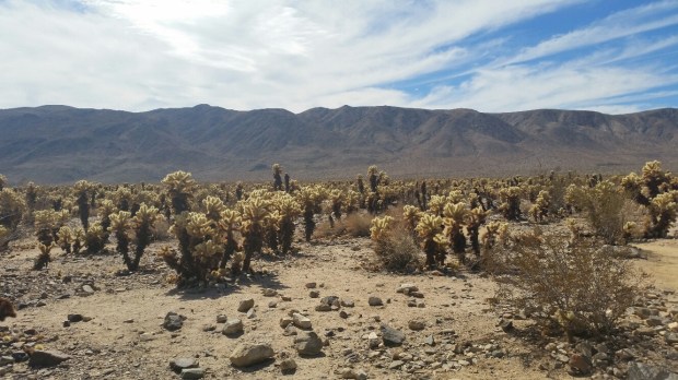 20141015_120311_resized